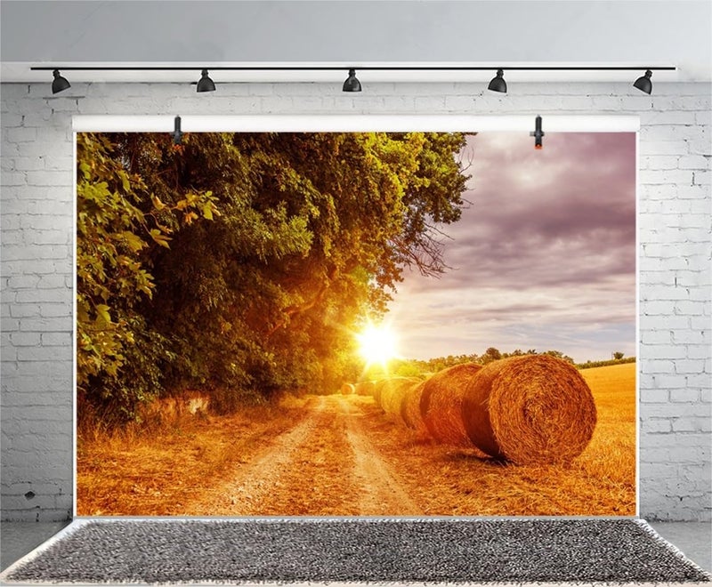 Leyiyi 7x5ft Photography Background Haystock Backdrop Thanksgiving Day Western Town Farmland Agriculture Sunset Piles Countryside Harvest Autumn Woodland Trees Cowboy Photo Portrait Vinyl Studio Prop - Image 2